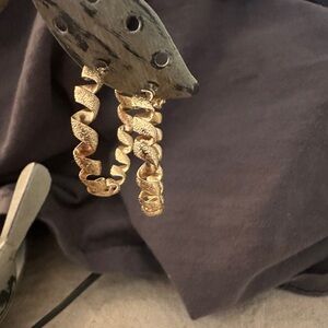 Elegant Gold Twisted Hoop Earrings